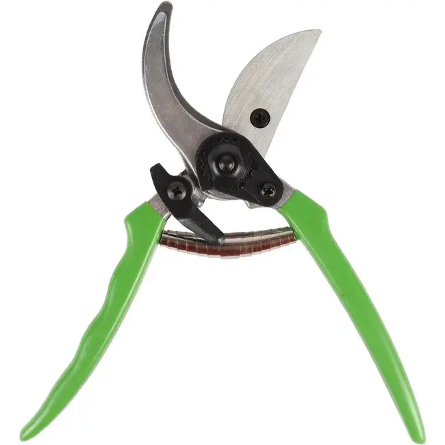 Talen Tools Snoeischaar budget - Groen