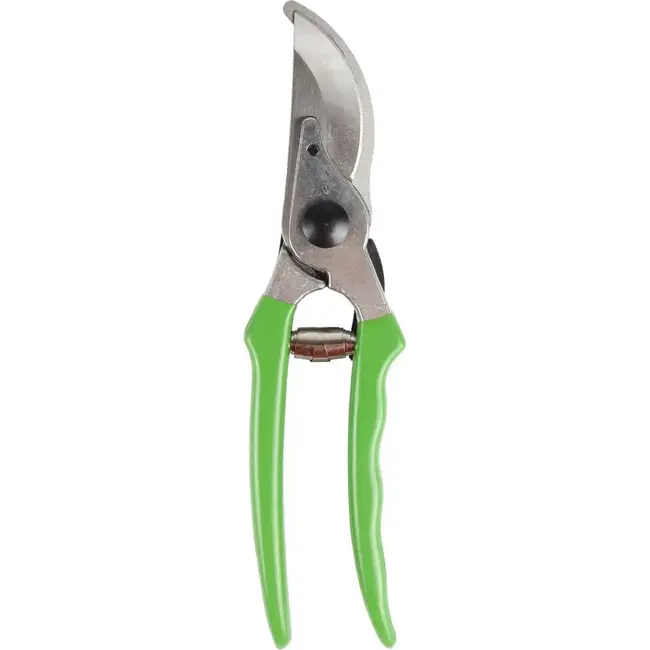 Talen Tools Snoeischaar budget - Groen