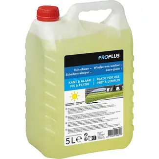 ProPlus Ruitensproeiervloeistof - Zomerformule - Kant-en-klaar - 5 liter