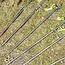 ProPlus Rotspen 40 cm – Heavy Duty met L-Haak – 6 stuks