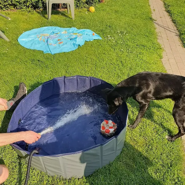 Purlov Basen Opvouwbaar Hondenzwembad 100x30 cm - Veilig en Draagbaar - Ideaal voor Zomerse Verkoeling