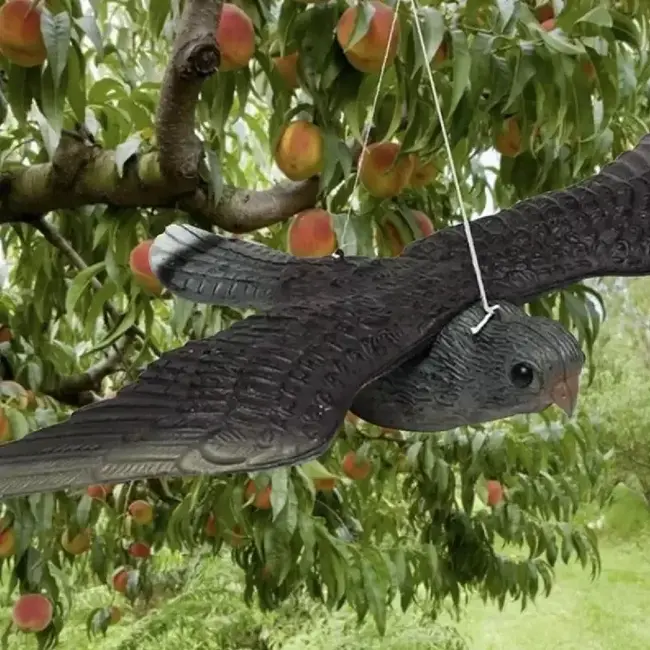 Repest Slechtvalk Vogelafschrikker - Realistische Bescherming Tegen Vogels