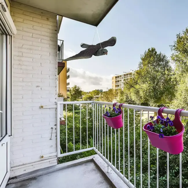 Repest Slechtvalk Vogelafschrikker - Realistische Bescherming Tegen Vogels