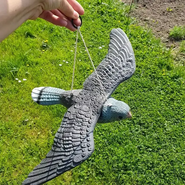 Repest Slechtvalk Vogelafschrikker - Realistische Bescherming Tegen Vogels
