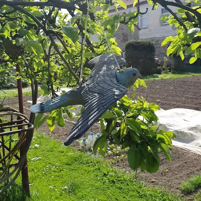 Repest Slechtvalk Vogelafschrikker - Realistische Bescherming Tegen Vogels