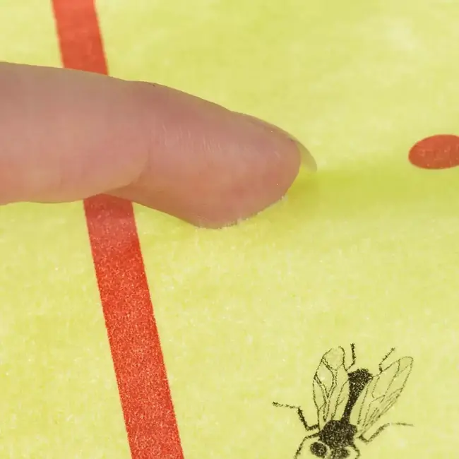 Repest Vliegenvanger Rol 10m - Effectieve en Ecologische Insectenbestrijding