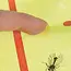 Repest Vliegenvanger Rol 10m - Effectieve en Ecologische Insectenbestrijding