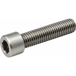 Amigo Inbusbouten M5 x 16 - RVS - 25 stuks - Duurzaam en Roestvrij