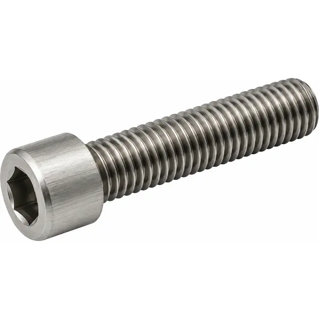 Amigo Inbusbouten M5 x 16 - RVS - 25 stuks - Duurzaam en Roestvrij