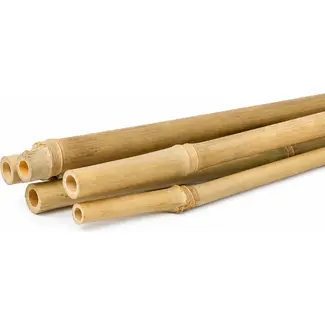 Talen Tools Bamboestok – 150 cm – 4 stuks – Natuurlijke plantensteun