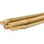 Talen Tools Bamboestok – 150 cm – 4 stuks – Natuurlijke plantensteun