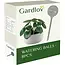 Gardlov Waterballen Set van 8 - Zorgeloze Plantenbewatering