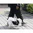 Purlov Automatische Hondenriem 8m – Perfect voor Grote Honden tot 50kg
