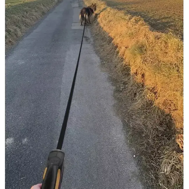 Purlov Automatische Hondenriem 8m – Perfect voor Grote Honden tot 50kg