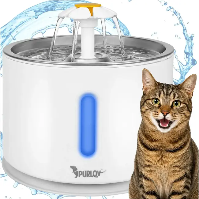 Purlov Drinkfontein voor Hond en Kat 2 l met Filtersysteem, Watercirculatie en USB Voeding voor Vers Drinkwater