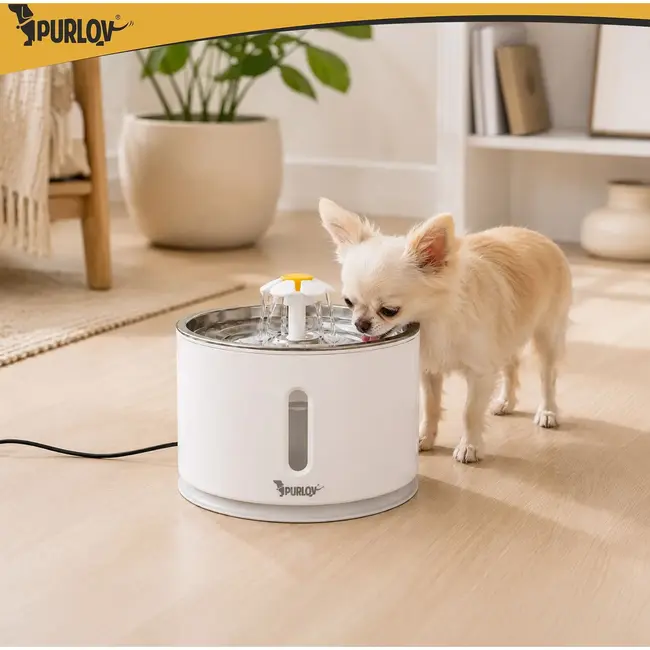 Purlov Drinkfontein voor Hond en Kat 2 l met Filtersysteem, Watercirculatie en USB Voeding voor Vers Drinkwater