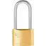 Tvardy Messing hangslot 50 mm met lange beugel en 3 sleutels voor poorten en lockers