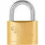 Tvardy Messing hangslot 50 mm met geharde beugel en 3 sleutels voor poorten en lockers