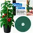 GEKO Tuinbindband klittenband groen 10 mm x 5 m voor tomaten, komkommers en sierplanten