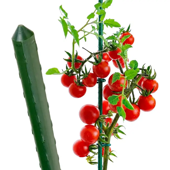 GEKO Groene plantenstok staal 16 mm x 120 cm met puntige tip voor tomaten en planten