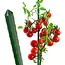 GEKO Groene plantenstok staal 16 mm x 120 cm met puntige tip voor tomaten en planten