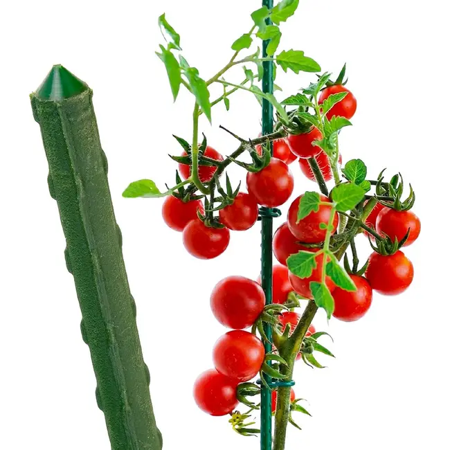 GEKO Groene plantenstok staal 11 mm x 120 cm met puntige tip voor tomaten en planten
