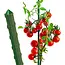GEKO Groene plantenstok staal 8 mm x 90 cm met puntige tip voor tomaten en bloemen