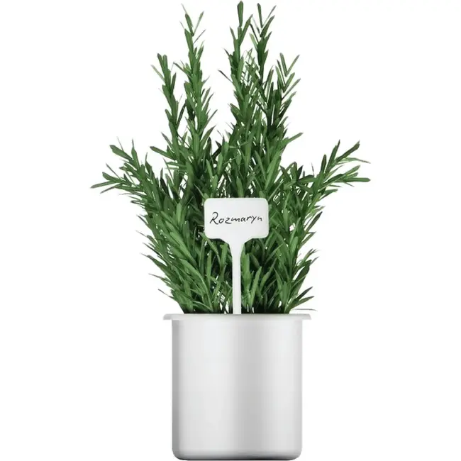 GEKO Plantenlabels 15 x 6 cm wit, schrijfbare labels voor kruiden en zaailingen, 10 stuks