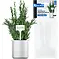 GEKO Plantenlabels 15 x 6 cm wit, schrijfbare labels voor kruiden en zaailingen, 10 stuks