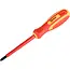 Benson Schroevendraaier phillips PH2x 100 - maat 100 - met handvat - met grip - 000 V - 1,000 V