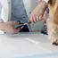 Purlov Hygiënische Onderleggers 60 x 40 cm + Poepzakjes - 100 Stuks - Absorberend en Lekbestendig