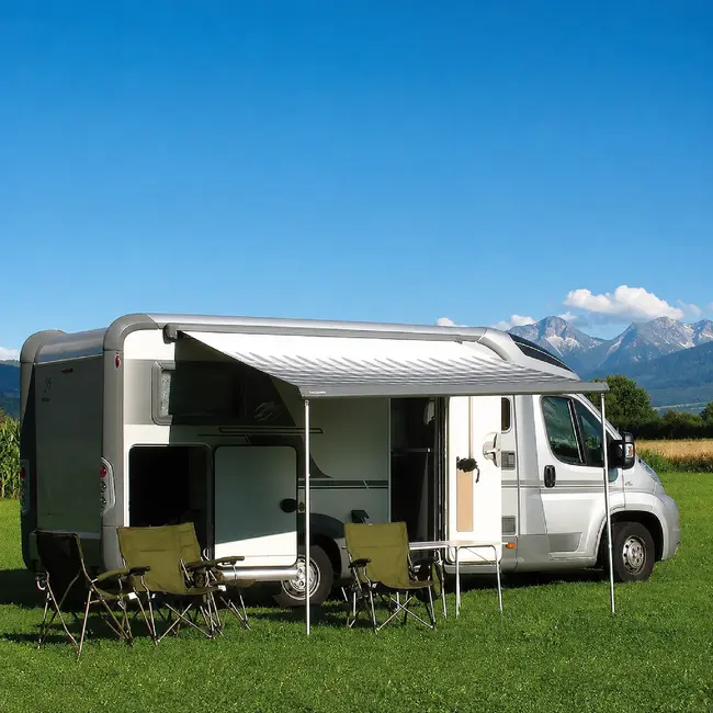 ProPlus Stormbandset voor luifels - 2 spanbanden - 6-delig - 300 cm