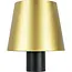 Benson Aanraakdimbare LED flessenlamp - goud - oplaadbaar - compact ontwerp - warm wit licht