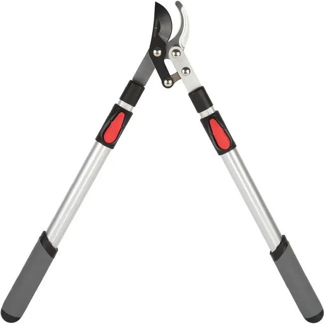 Talen Tools Takkenschaar – Voorbijsnijdend – Telescopisch – Premium – 66-99 cm