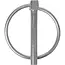 ProPlus Borgpen - Ø 6 mm - met Ø 38 mm ring - Slank design - Robuust staal