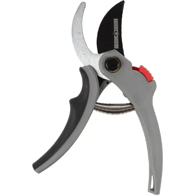 Talen Tools Snoeischaar - Koolstofstaal - Papegaaibek