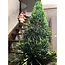 Ruhhy Groene Kerstboom Slinger 6m - Dikke en Flexibele Kerstdecoratie