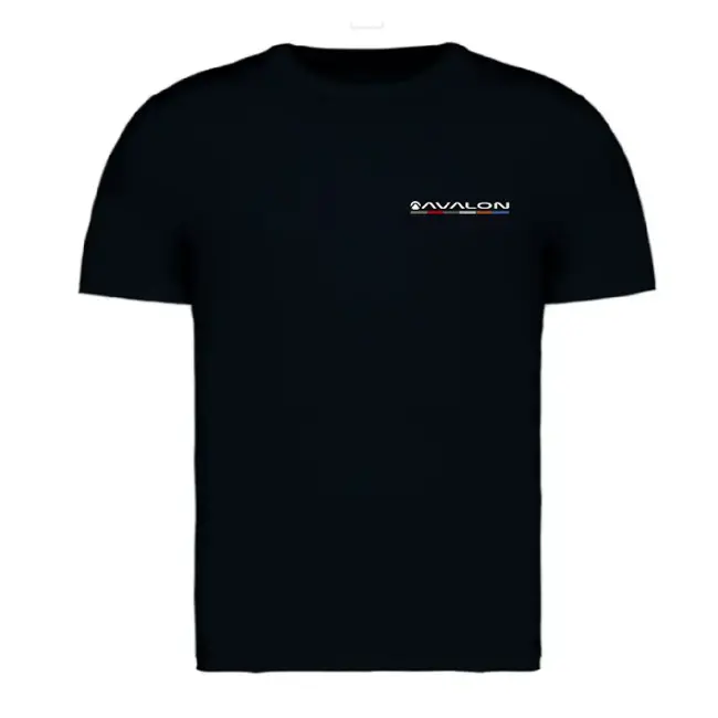 Avalon T Shirt maat XXL zwart