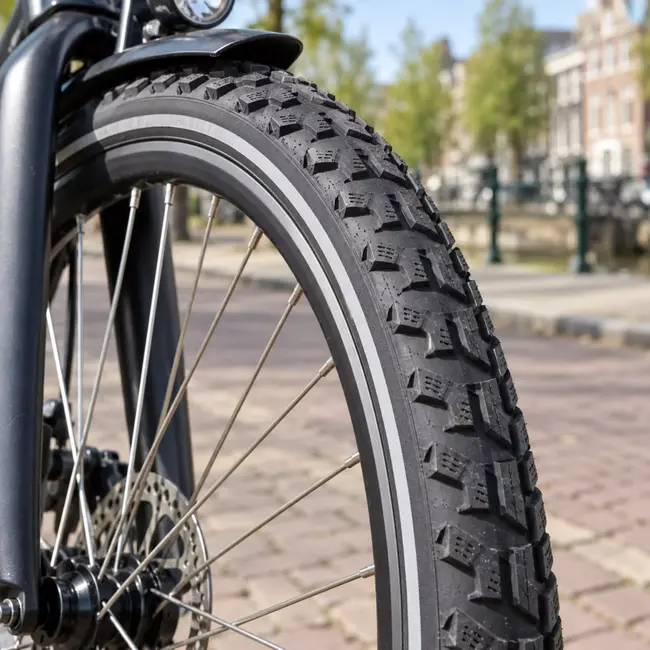 Schwalbe Buitenband 28 x 2,00 zwart - Land Cruiser Plus met PunctureGuard en reflectie voor fiets