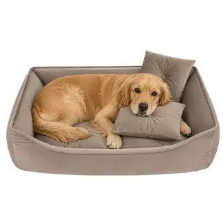 Purlov Hondenmand 70 x 50 cm - Beige honden- en kattenbed met opstaande randen en 2 zachte kussens