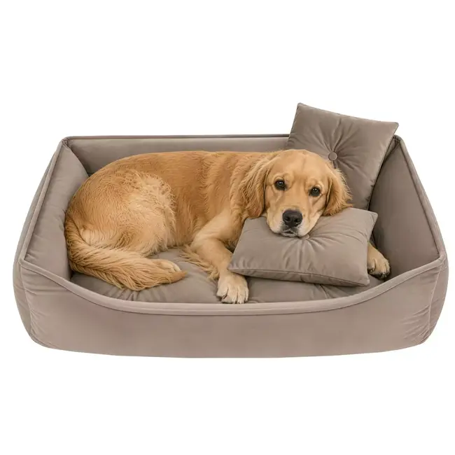 Purlov Hondenmand 70 x 50 cm - Beige honden- en kattenbed met opstaande randen en 2 zachte kussens