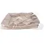 Purlov Hondenmand 70 x 50 cm - Beige honden- en kattenbed met opstaande randen en 2 zachte kussens
