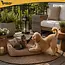 Purlov Hondenmand 70 x 50 cm - Beige honden- en kattenbed met opstaande randen en 2 zachte kussens