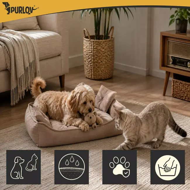 Purlov Hondenmand 70 x 50 cm - Beige honden- en kattenbed met opstaande randen en 2 zachte kussens