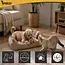 Purlov Hondenmand 70 x 50 cm - Beige honden- en kattenbed met opstaande randen en 2 zachte kussens