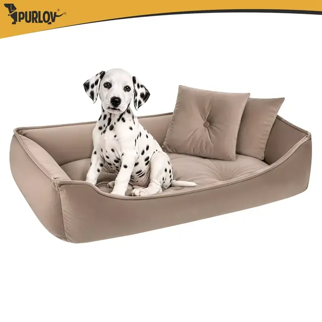 Purlov Hondenmand 70 x 50 cm - Beige honden- en kattenbed met opstaande randen en 2 zachte kussens
