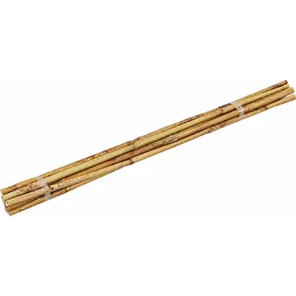 Talen Tools Bamboestokken 60 cm - Ondersteun Uw Planten Natuurlijk - 10 Stuks