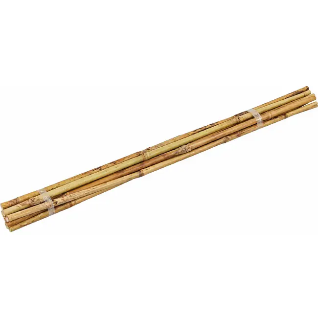 Talen Tools Bamboestokken 60 cm - Ondersteun Uw Planten Natuurlijk - 10 Stuks