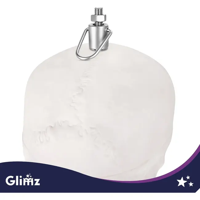 Glimz Anatomisch skelet 170 cm - schaal 1:1 - driedelige schedel en afneembare ledematen - met verrijdbare standaard en poster