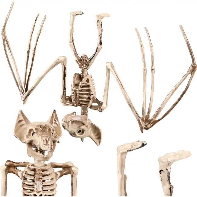 Glimz Vleermuisskelet 30 cm hangdecoratie voor Halloween in botkleur